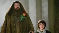 Harry Potter: actor que interpretó a ‘Hagrid’ no puede caminar por esta enfermedad