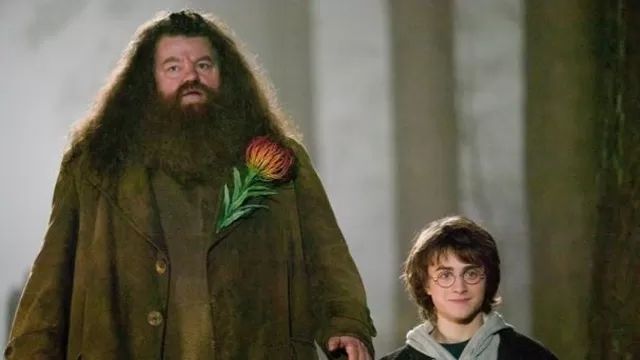 ‘Hagrid’ no puede caminar por esta enfermedad. Foto: Universal Studios