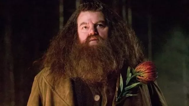 Harry Potter: Revelan la causa de muerte de Robbie Coltrane, actor  que interpretó a Hagrid