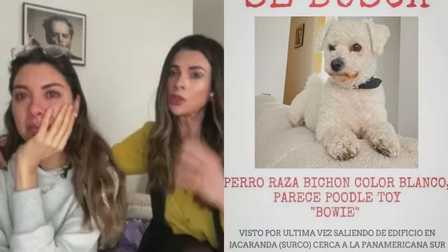 Hija de Fiorella Rodríguez llora por la pérdida de su mascota 