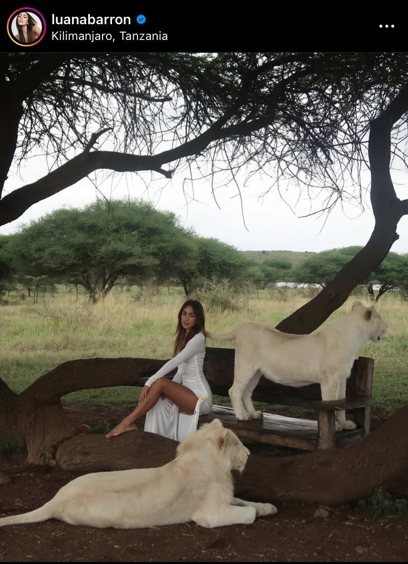 Luana Barrón recibió críticas por fotos con leones / Instagram