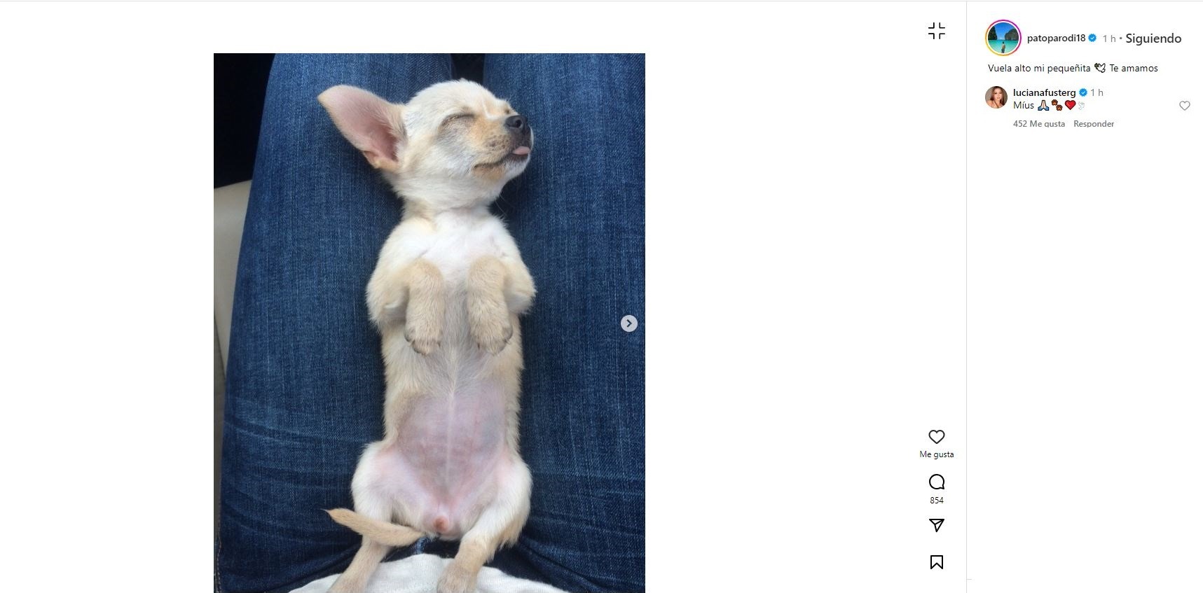 Mensaje de Patricio Parodi despidiéndose de su mascota/Foto: Instagram