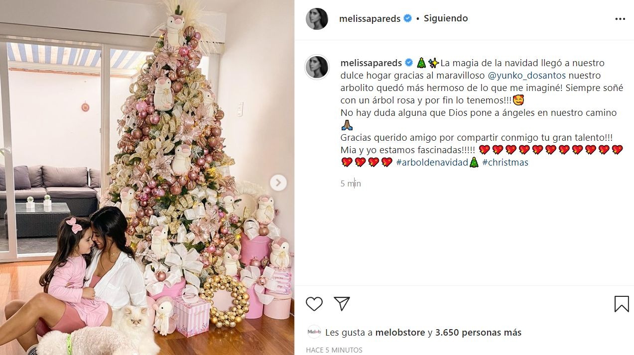 Melissa Paredes inicia la Navidad con llamativa decoración