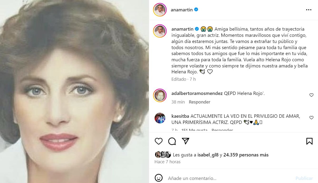 Ana Martin se despidió de su amiga Helena Rojo con un sentido mensaje / Instagram