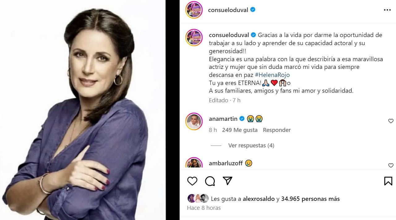 Consuelo Duval se solidarizó con amigos y familiares de Helena Rojo / Instagram