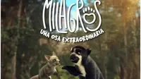 Película peruana 'Milagros: una osa extraordinaria' fue vendida a España y la India