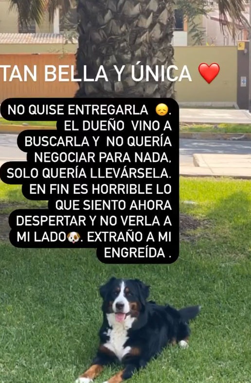 Rosángela Espinoza lloró al devolver mascota a su ex pareja 