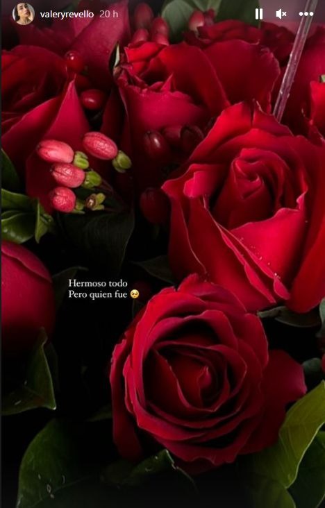 ¿Sergio Peña le envió rosas a su ex Valery Revello?