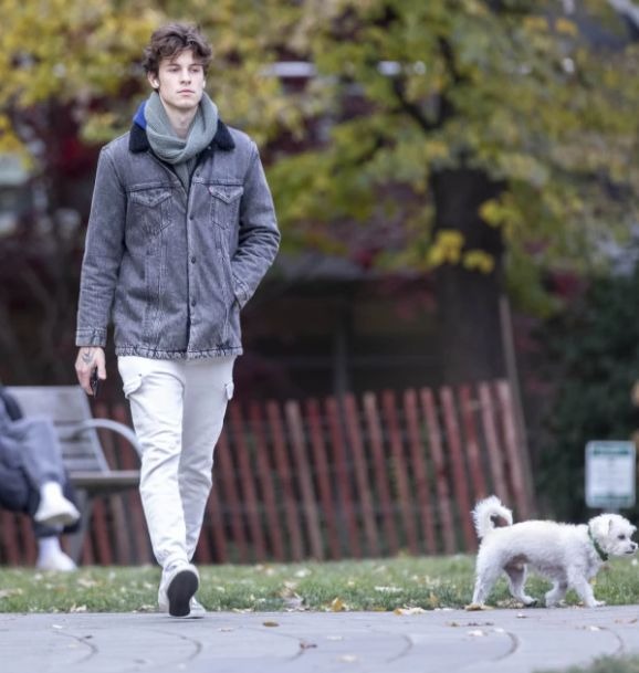 Sin Camila Cabello: Así de triste luce Shawn Mendes caminando por Canadá