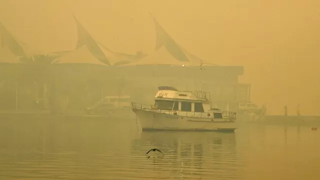 S&iacute;dney afronta &quot;emergencia de salud p&uacute;blica&quot; debido a humo t&oacute;xico tras incendios. Foto: AFP