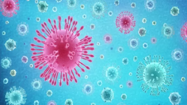 Bélgica: Investigadores descubren una posible nueva variante del coronavirus. Foto referencial: iStock