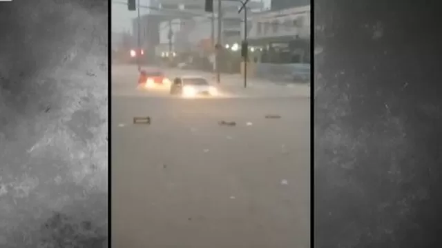 Brasil: Caimanes aparecen en las calles tras lluvias