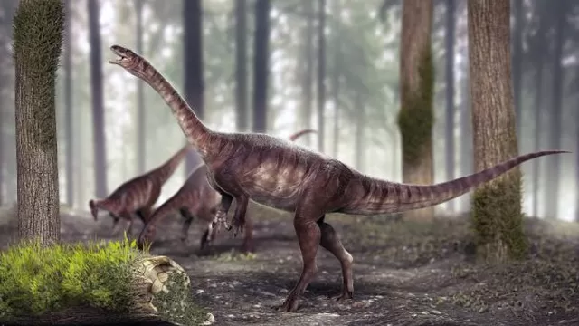 El dinosaurio de cuello largo m&aacute;s antiguo del mundo fue descubierto por un grupo de paleont&oacute;logos en Brasil. (Foto: EFE)