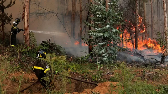 Chile recibe ayuda internacional para controlar incendios forestales