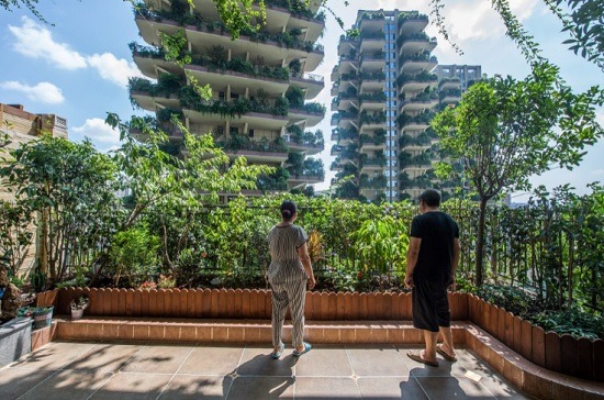 China: Plantas invaden un complejo de edificios y ahuyentan a residentes