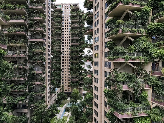 China: Plantas invaden un complejo de edificios y ahuyentan a residentes