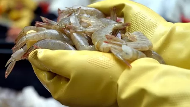 Shanxi prohíbe camarón blanco de Ecuador por coronavirus. Foto: El Universo