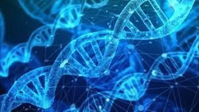 Científicos descifran por primera vez el genoma completo de un ser humano. Fuente: Pixabay