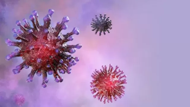 Coronavirus: Descubren c&oacute;mo la enfermedad entra a las c&eacute;lulas humanas. Foto: Shutterstock