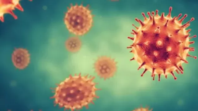 Coronavirus: Descubren anticuerpo que bloquea infecci&oacute;n de la COVID-19 en las c&eacute;lulas. Foto: Shutterstock
