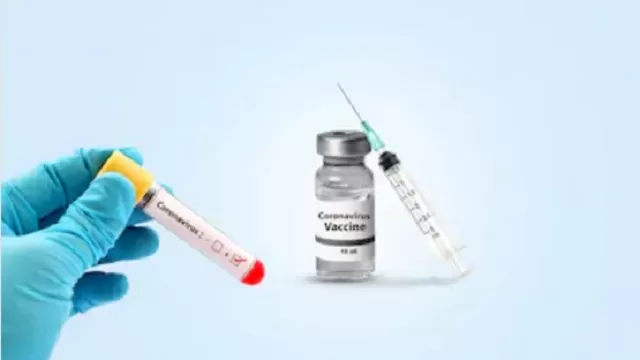 Vacuna que neutraliza el virus SARS-CoV-2, causante del COVID-19, fue probado con éxito en ratones. Foto: Shutterstock