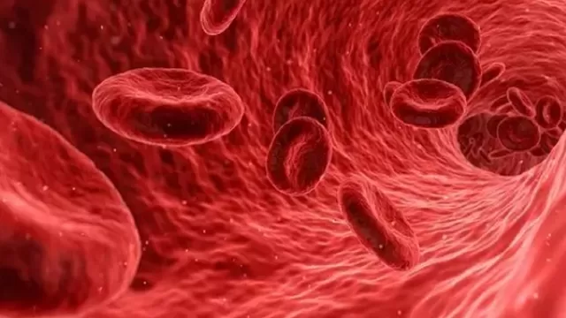 Uso de anticoagulantes puede mejorar supervivencia en pacientes ingresados por COVID-19. Foto: Pixabay
