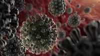 COVID-19: Autoridades europeas confirman que nueva variante del coronavirus es 70% más contagiosa