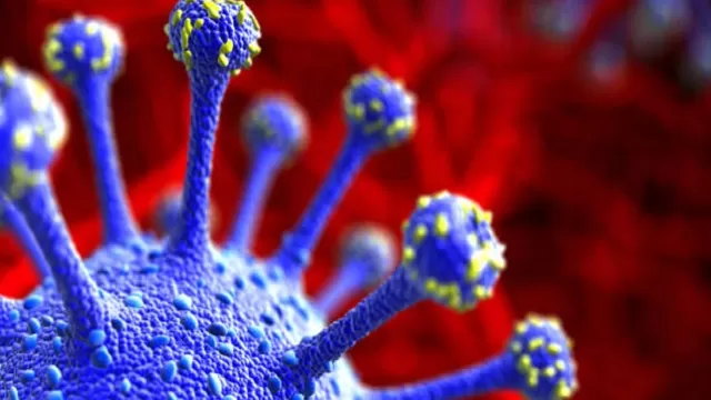 COVID-19: Científicos de Sudáfrica hallan una nueva variante del coronavirus muy mutante. Foto referencial: iStock