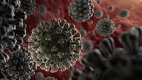 COVID-19: Estudio afirma que variante británica del coronavirus es entre 50% y 74% más contagiosa