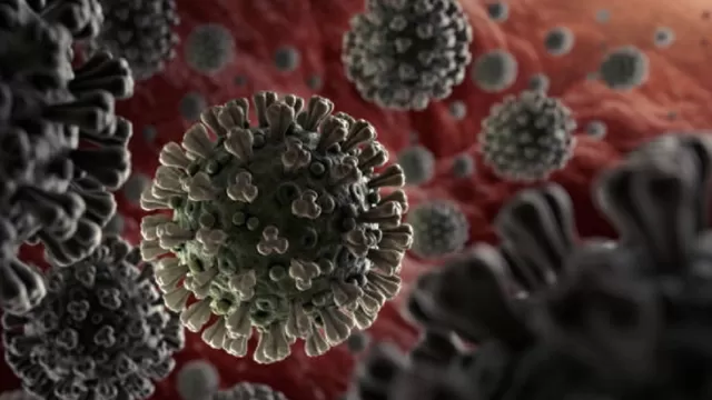 COVID-19: Estudio afirma que nueva variante del coronavirus es entre 50% y 74% más contagiosa. Foto: 