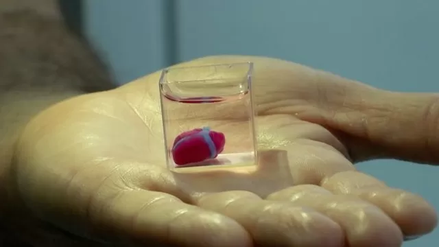 Crean primer corazón "vivo y que palpita" con una impresora 3D con tejido humano
