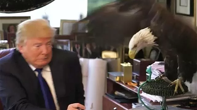 “Este pájaro es gravemente peligroso, pero hermoso”, dijo Trump.