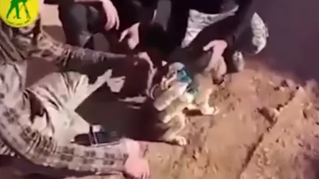 Estado Islámico usaría "cachorros bomba" para realizar atrocidades