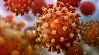 Estados Unidos: Identifican un caso de la variante "doble mutante" del coronavirus descubierta en India