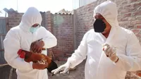 Gobierno de Chile confirma su primer caso de gripe aviar en humanos