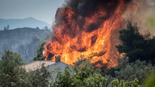 Grecia: incendio en la isla de Eubea puede provocar una "catástrofe ecológica"
