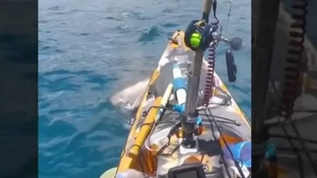 Hawái: Tiburón atacó a un pescador en su kayak