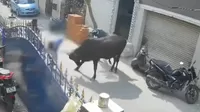 India: Vaca atacó a niña cuando regresaba de su colegio