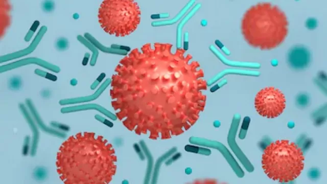 Israel anuncia que ha desarrollado un anticuerpo para el coronavirus. Foto: Shutterstock referencial