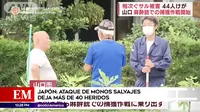 Japón: Al menos 40 heridos tras ataque de monos salvajes