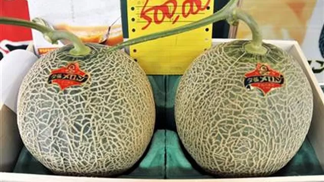 Los dos melones de la variedad cantalupo, caracterizada por su pulpa de color naranja y sabor dulce, se subastaron en el mercado central de Sapporo. (Vía: www.redagricola.com)