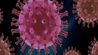 OMS: Hay una fuerte probabilidad de que emerjan nuevas variantes más peligrosas del coronavirus