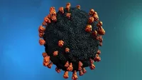OMS: Variante Delta del coronavirus es "la más rápida" y puede expandirse por la relajación de medidas