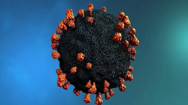 OMS: Variante Delta del coronavirus es "la más rápida" y puede expandirse por la relajación de medidas. Foto: Shutterstock