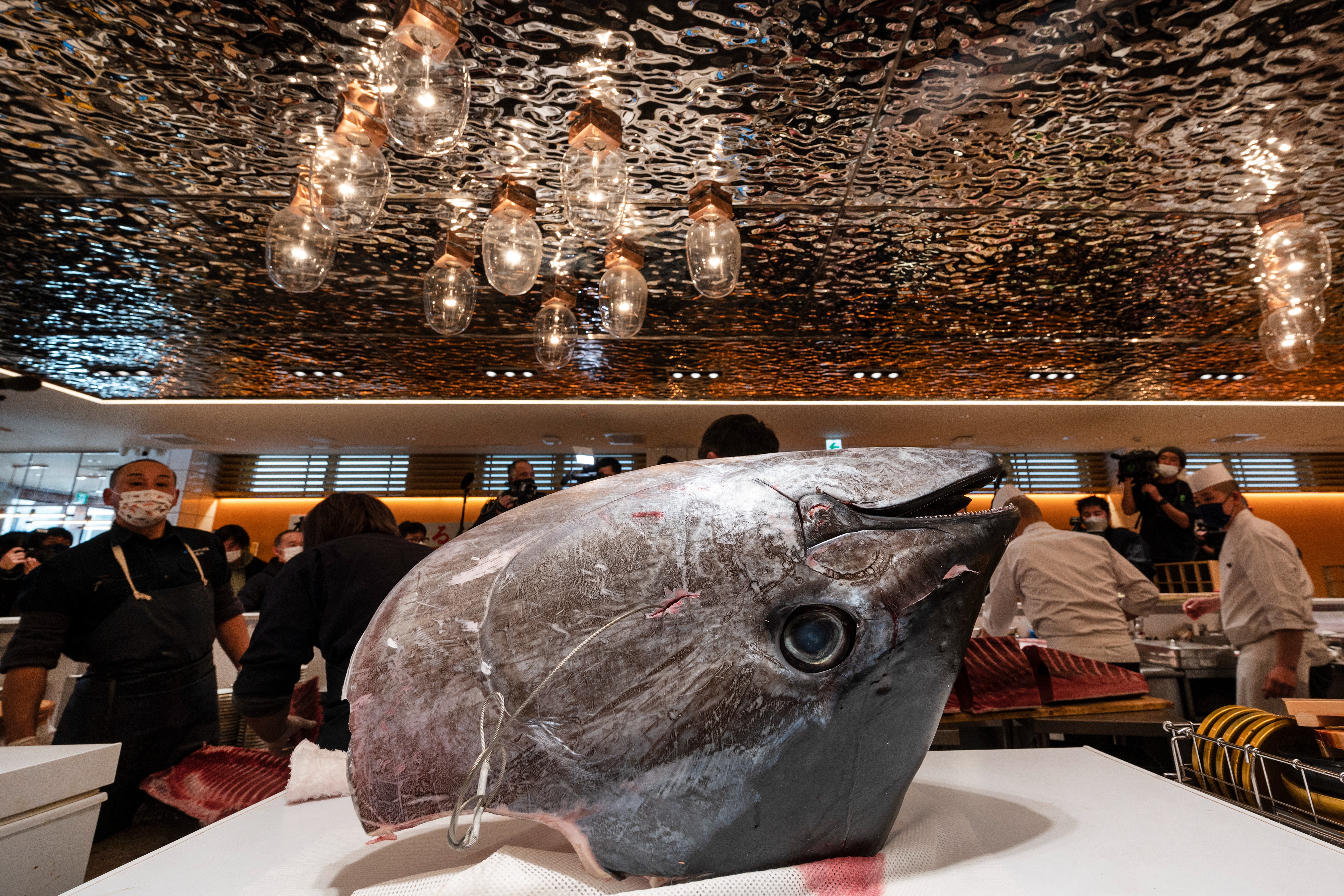 Precio de un atún alcanzó más de 270.000 dólares en subasta por Año Nuevo en Japón