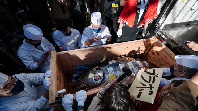 Precio de un atún alcanzó más de 270.000 dólares en subasta por Año Nuevo en Japón. Foto: AFP