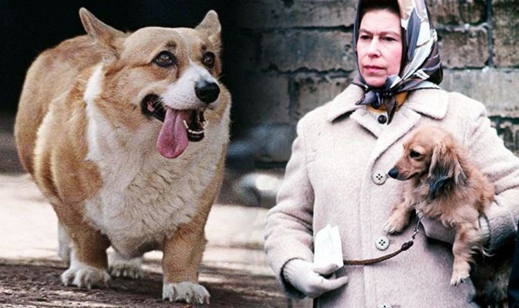 ¿Quién se hará cargo de las mascotas de la Reina Isabel II?