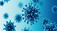 Reino Unido detecta otra variante del coronavirus "aún más contagiosa" con origen en Sudáfrica