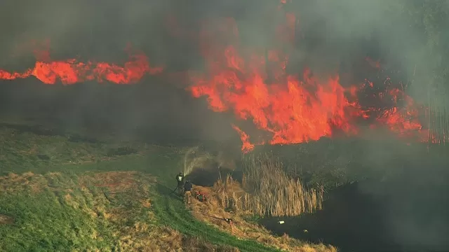 Reportan incendio forestal masivo en Estados Unidos