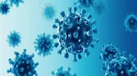 Sudáfrica: Detectan una nueva variante del coronavirus